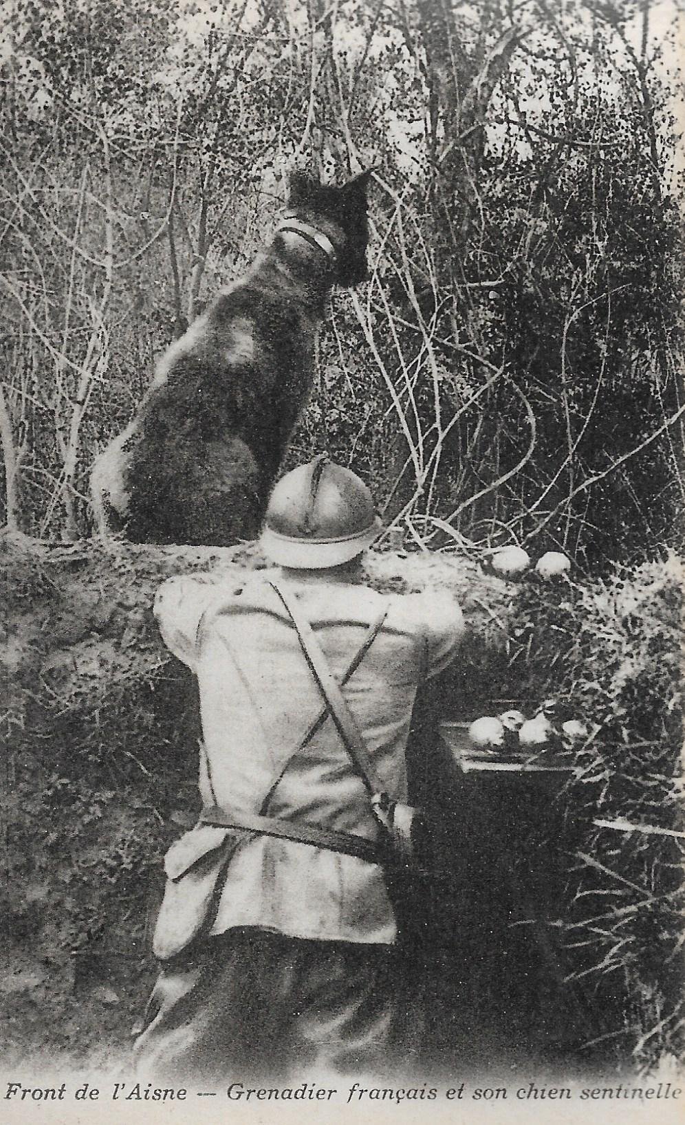 /France/Military/FR_military_1903-1938_Front de L'Aisne - Grenadier francais et son chien sentinelle.jpg